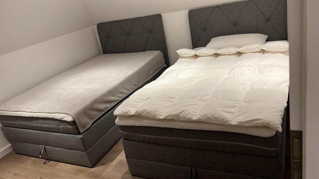 Ferienwohnung Nella Paderborn Eksteriør billede
